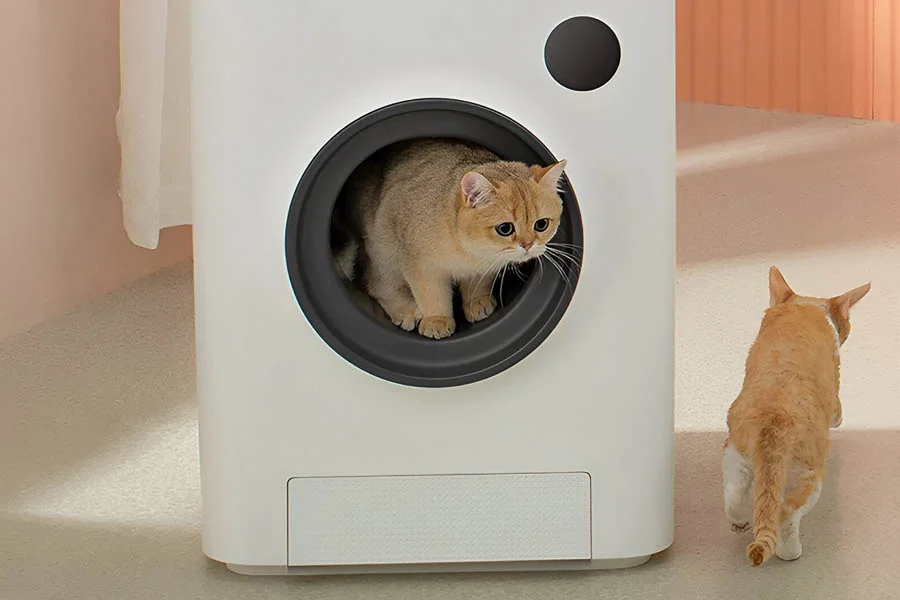 automatic scooping litter box